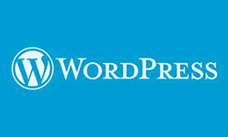WordPress主题定制开发